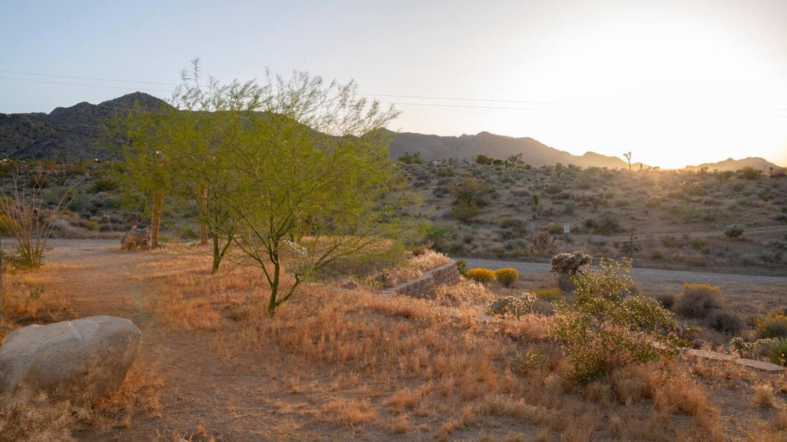 Experience Desert Serenity Gateway To Joshua Tree Джошуа-Три Экстерьер фото